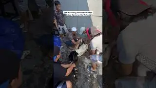 Saat Kambing Pertama Berontak Mau Dipotong Idul Adha #iduladha1444h #kambing #qurban #idulqurban
