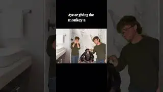 Full video on my channel! #funny #trynottolaugh #noahwithaz