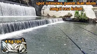 mancing di sungai ikan nilem nya melimpah!! sungai rasa kolam!!