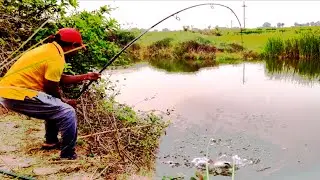 Best Fishing Video | Рыбалка Видео (Part-19)#fishing #рыбалканафидер #fish