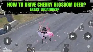How To Drive Cherry Blossom Deer? | Exact Location & How To Get Cherry Blossom Deer In BGMI PUBG