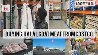 Buying halal goat meat from costco in  canada
