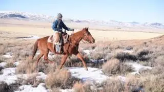 Lorrie Ann Smith Riding Video