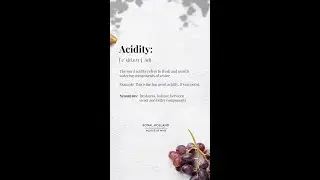 #Shorts: Wine words that make you sound like a pro - Acidity