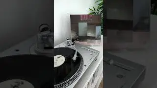 Reality - Revolution - Reggae Vinyl #Shorts
