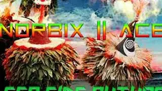 Norbix X ACE-Sea Side Culture (official audio)