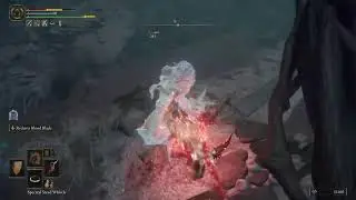 THE TRUEST - Elden Ring - Lord Bernard In Caelid