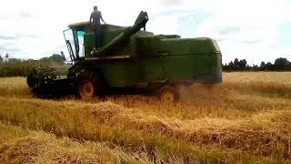 Wheat Harvesting Guide: Timing and Techniques with Combine Harvester