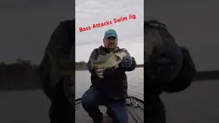 Swim Jig Gets Hammered in Shallow Water #cgwhackem #bassfishing #angler #fish