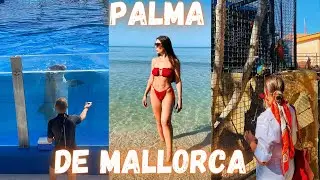 Vlog din Palma de Mallorca | Am plans 😱 | Am lesinat in autobuz 😂 | MarineLand & Palma Town