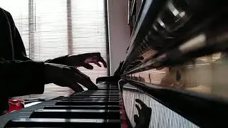 Liszt Feux Follets (20)