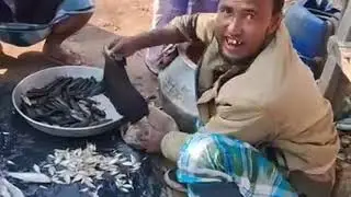 Wow!!!!! Big Fishing Catching videos !!! Rohu Fishing ln Ctala Fish Hunting !!!!#Cast#Net#Fishing 
