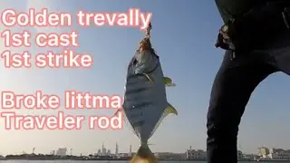 First cast first strike of big Golden trevally / Huge barakuda fight / Shore fishing casting jigging