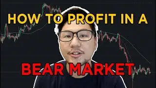 How to Profit in a Bear Market | Archie Lim