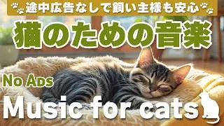猫が落ち着く音楽/広告なしで安心/リラックス/cat relaxing music/No Ads/Relaxing music for cats_vol.72
