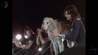 Pink Floyd AI - Mademoiselle Nobs - Live at Pompeii