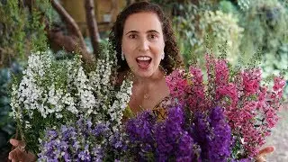UM MAR DE CORES NO SEU JARDIM - ANGEL&Ocirc;NIA | N&ocirc; Figueiredo
