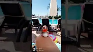 Turkey Holiday 2022