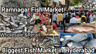 Biggest Fish Market in Hyderabad || Ramnagar Fish Market (Musheerabad Fish Market) Wholesale&Retail