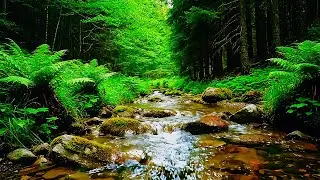 The Beautiful Little River and Calm Nature | Relaxing Water Sounds for Sleep & Stress Relief