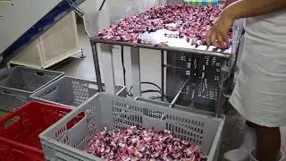 Conheça o processo de produção de balas da Cooperativa Pindorama