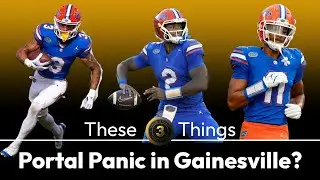 Portal Panic in Gainesville? | These 3 Things