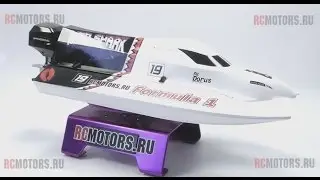Видео-обзор модели Joysway Mad Shark от RCMOTORS.RU