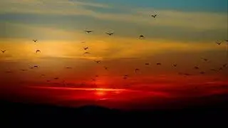 Relaxing Guitar Music Deep Sleep Music,Stress Relief Music By RMM