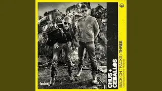 Back On Tracks 3 (Continuous Mix)