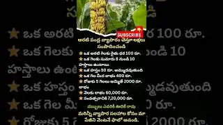 Banana Business Idea || Business Ideas Telugu || Business Startups Ideas In Telugu #business
