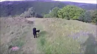 Ambient Telly - Daily Exercise
