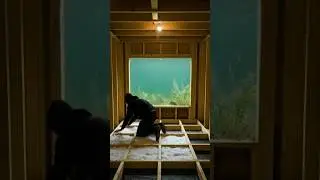Building a Hidden Lakeside Underground Bunker 🌊🛠️ | DIY Cabin Build