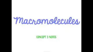 Unit 1 Biology Basics Concept 3 Notes *UPDATED*