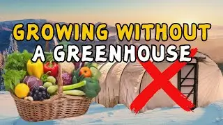 How to Grow in the SNOW Without a Greenhouse