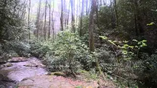 Horsetrough Falls from base