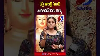 డ&zwnj;స్ట్ అల&zwnj;ర్జీ నుంచి బ&zwnj;య&zwnj;ట&zwnj;ప&zwnj;డేందుకు చిట్కా | Dust Allergy | Health Tips | Signal TV