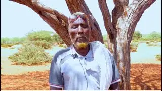 TAARIIKHDA GUMEYSIGA BEESHA CEYR HABARGIDIR GODO GODE IYO GUUSHAA SULDAAMADII MAJEERTEEN