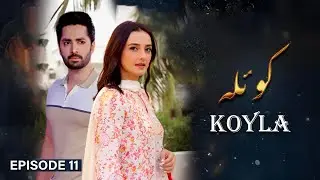 Koyla – Episode 11 | Danish Taimoor, Nouman Ijaz, Momal Sheikh | Latest Pakistani Drama | TN Family