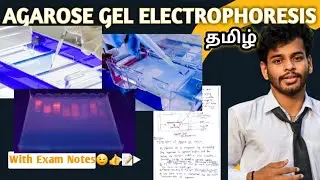 Agarose gel electrophoresis/tamil/notes/definition/principle/diagram/procedure/application/working