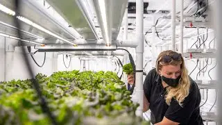 AppHarvest places container farm at Carter G. Woodson Academy