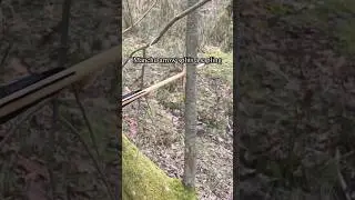 Manchu arrow splits a sapling (8 Feb 2025) #traditionalarchery #manchubow #archery #shorts