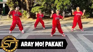 ARAY MO! PAKAK! ( Dj Choijay Remix ) - Dance Trends | Dance Fitness | South Force