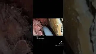 Hidden Water Leak Detection Call A Plumber NZ