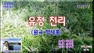26. [감성 커버] 유정천리 (박재홍 원곡) – 경북 영천 화북면에서 부른 마음의 노래 오동욱 #OJYTV