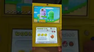 New Super Mario Bros 2 (3DS)