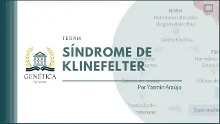 Teoria: Síndrome de Klinefelter