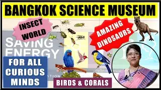 SCIENCE MUSEUM BANGKOK | LEARNING FOR CURIOUS MINDS | AMAZING WORLD OF DINOSAURS | INSECT WORLD