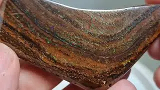 Koroit Nut Opal 000920 sp