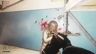 Tarkov stupid moment