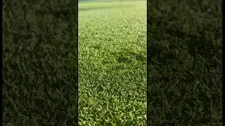 Greenskeeper Ball Mark Repair Tool by Standard Golf